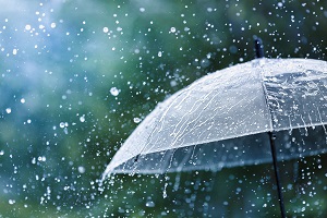 clear umbrella in the rain